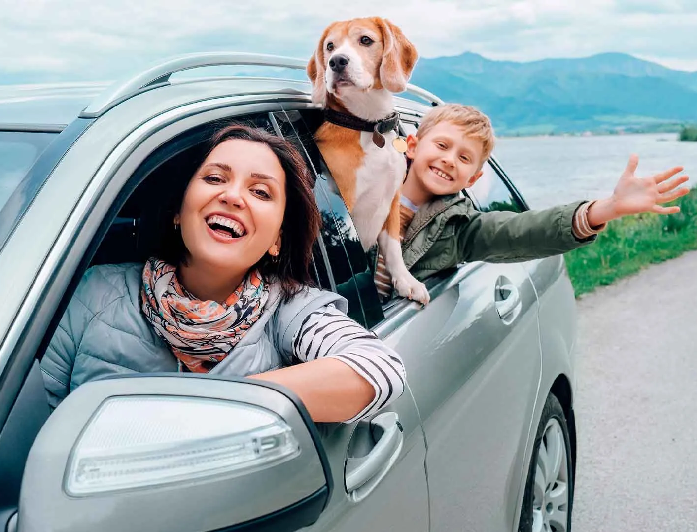 viajar con niños y perros accesorios para el coche