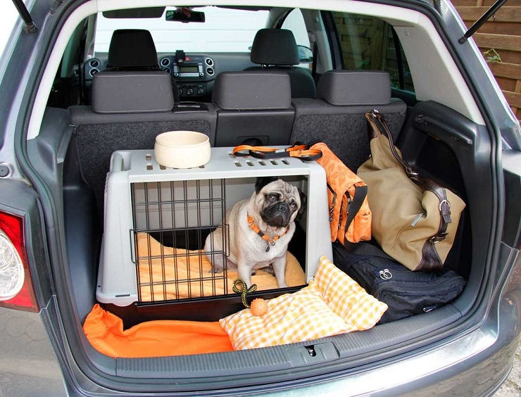 Trasportin perro colocarlo coche