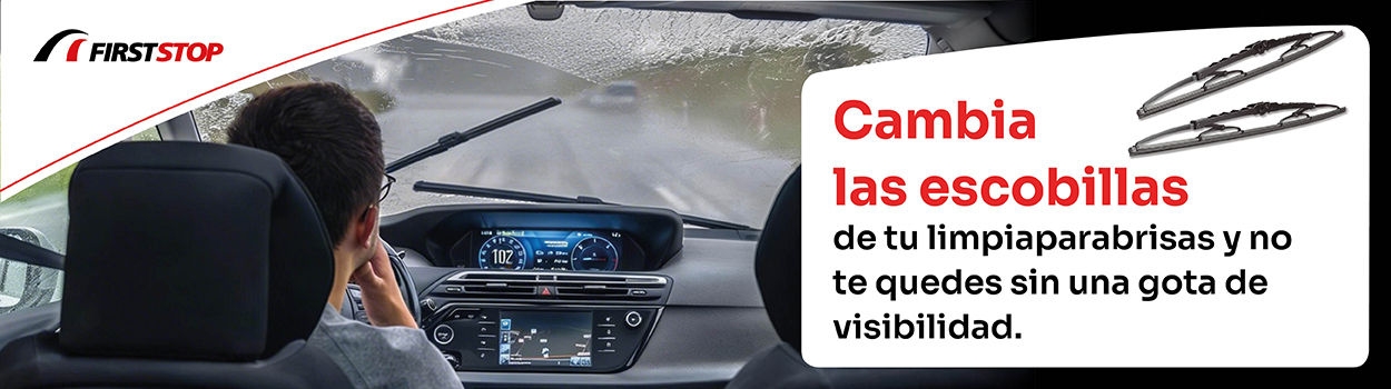 Promoción cambio de escobillas