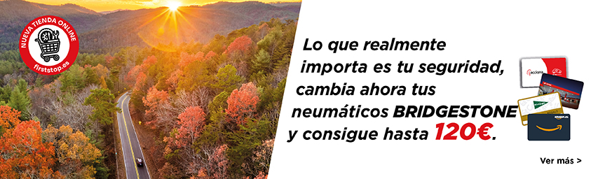 LO QUE REALMENTE IMPORTA ES TU SEGURIDAD, CAMBIA AHORA TUS NEUMÁTICOS BRIDGESTONE Y CONSIGUE HASTA 120€