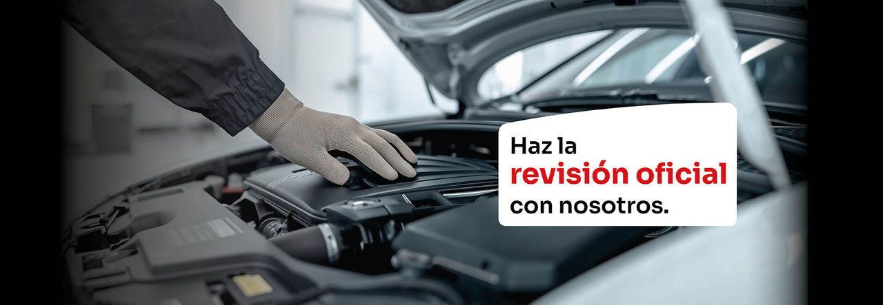 Revisión Oficial